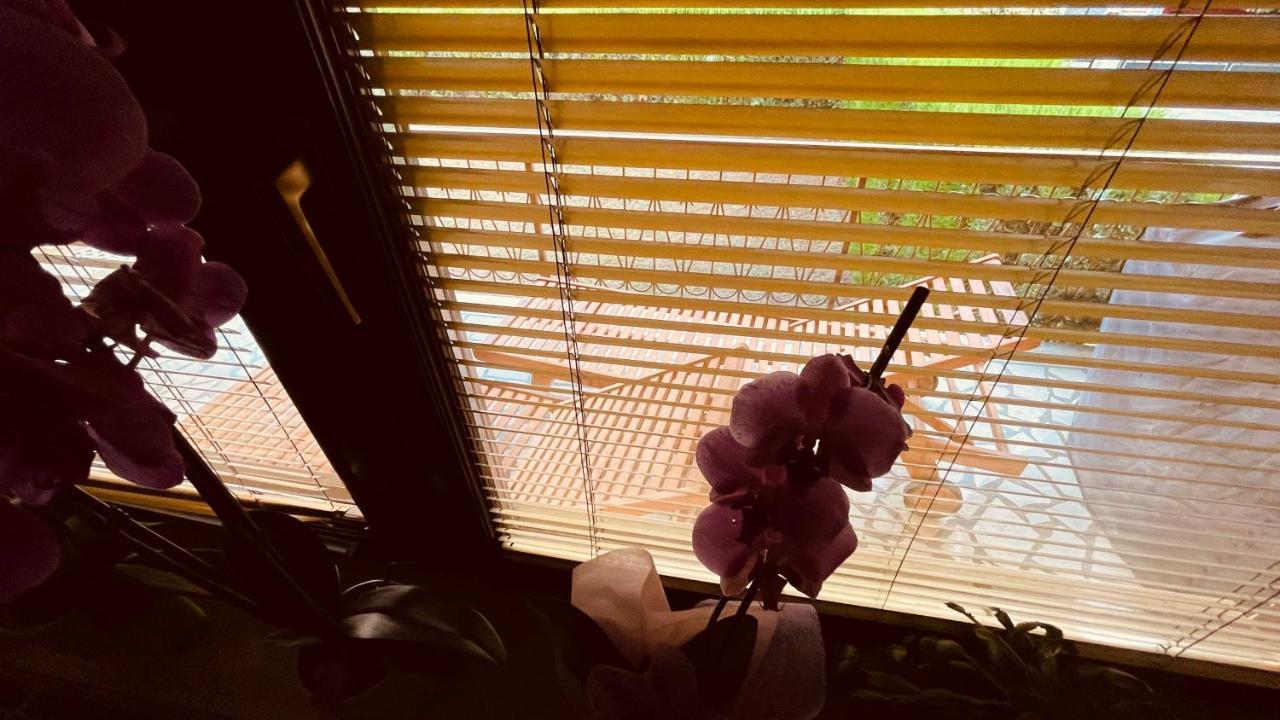 Apartment The Secret Orchid Rovinj